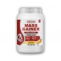 Гейнер Lion Labs Mass Gainer  1000 гр