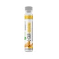 Л-карнитин Nature Foods L-carnitine + Guarana 4000 25 мл