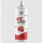 Хондропротектор 2SN Joint Support Concentrate 500 мл